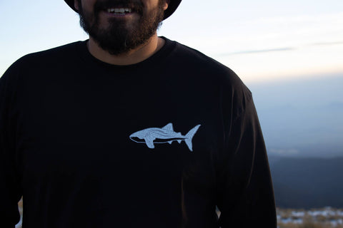 Ballenas